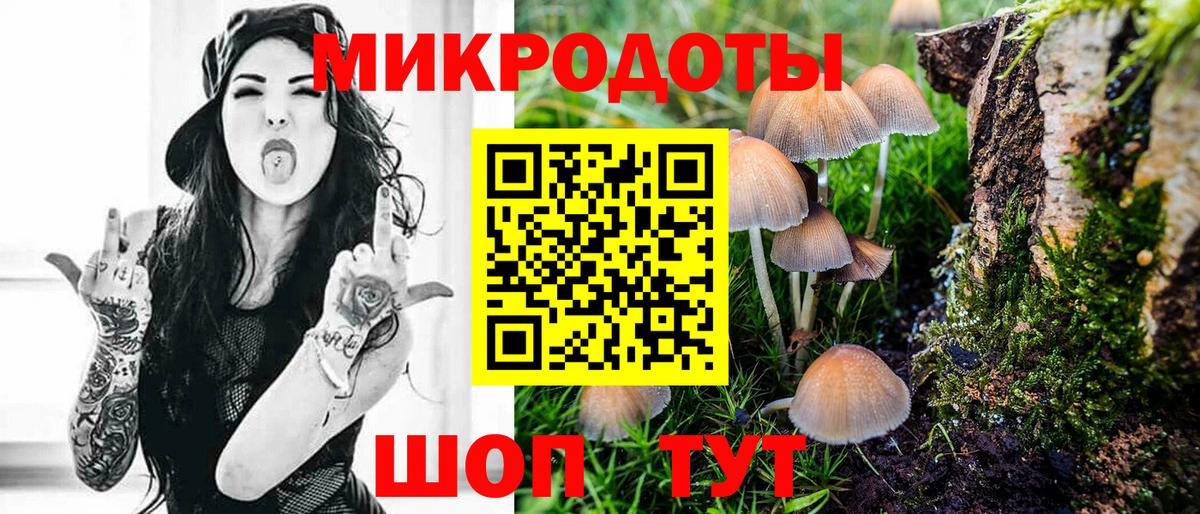Карабулак  Псилоцибиновые грибы Psilocybine cubensis  Вход с VPN 