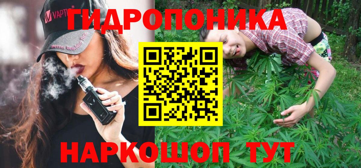 МАРИХУАНА сатива Карабулак
